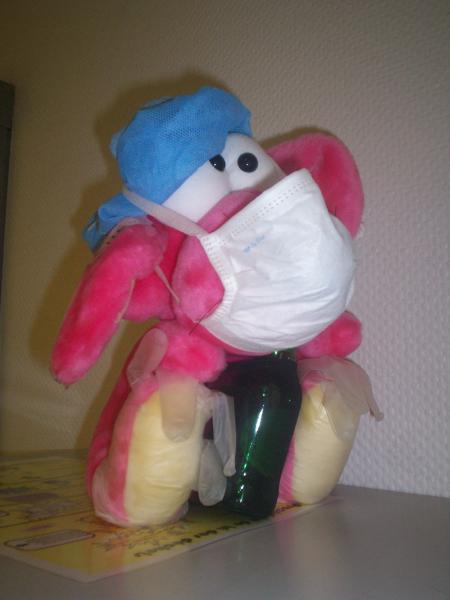 la mascotte de 2005-2008